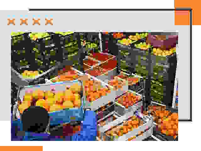 Перевозка скоропортящихся продуктов в Дивногорске